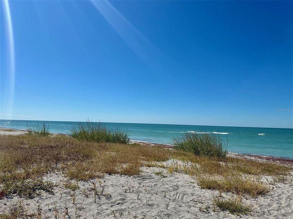 出租: $6,000 (2 贝兹, 2 浴室, 1182 平方英尺)