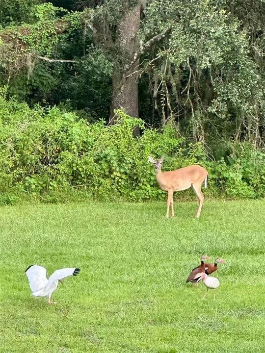 En Venta: $849,990 (4 camas, 3 baños, 3192 Pies cuadrados)