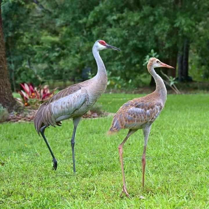 En Venta: $849,990 (4 camas, 3 baños, 3192 Pies cuadrados)