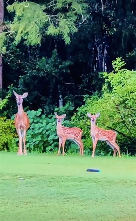 En Venta: $849,990 (4 camas, 3 baños, 3192 Pies cuadrados)