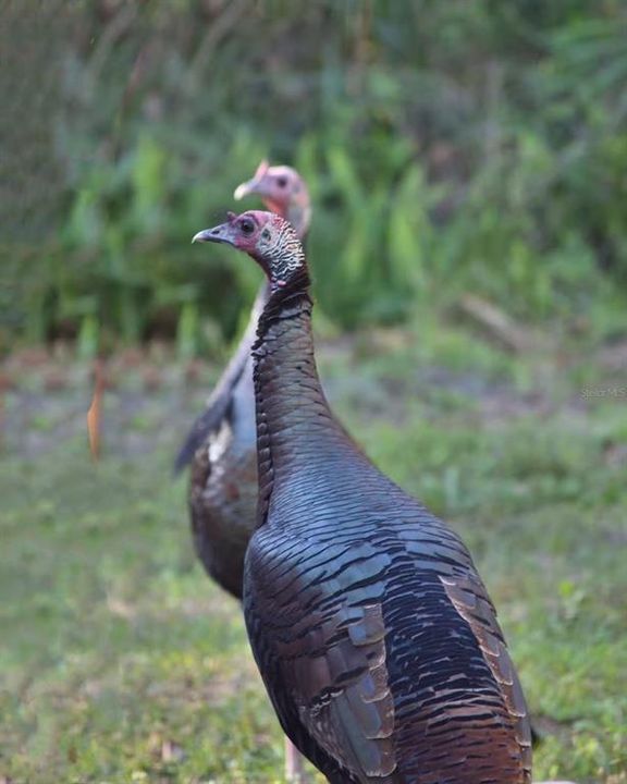 En Venta: $849,990 (4 camas, 3 baños, 3192 Pies cuadrados)