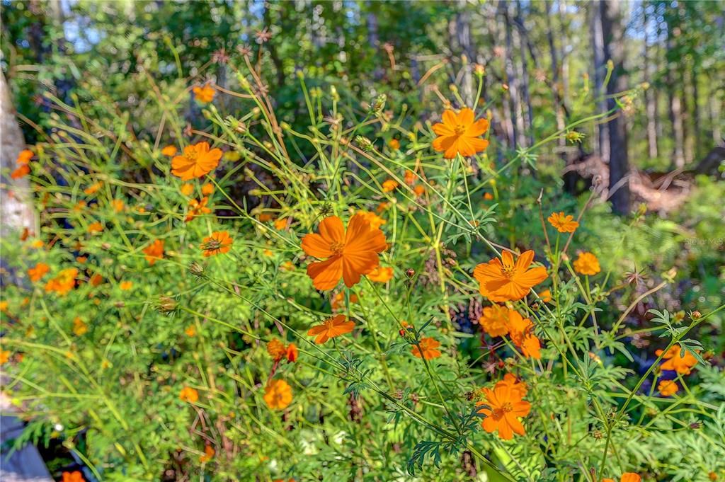 En Venta: $849,990 (4 camas, 3 baños, 3192 Pies cuadrados)