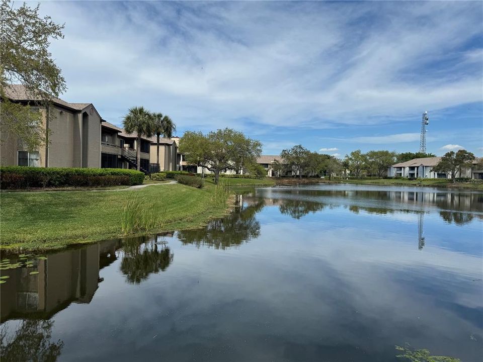 Под контрактом: $1,650 (1 спален, 1 ванн, 742 Квадратных фут)