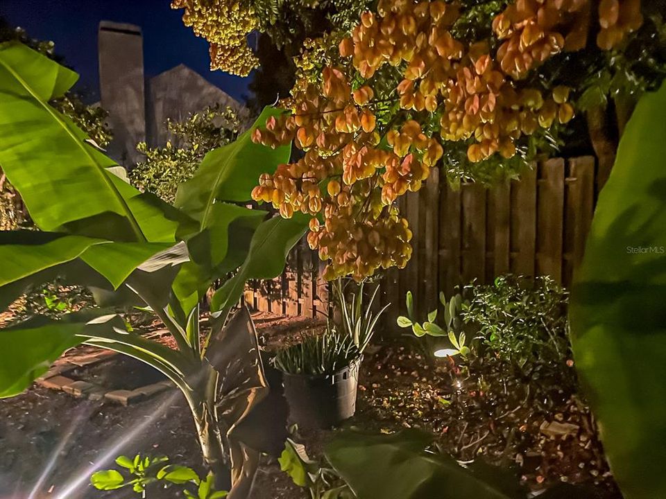 En Venta: $445,000 (3 camas, 2 baños, 1841 Pies cuadrados)