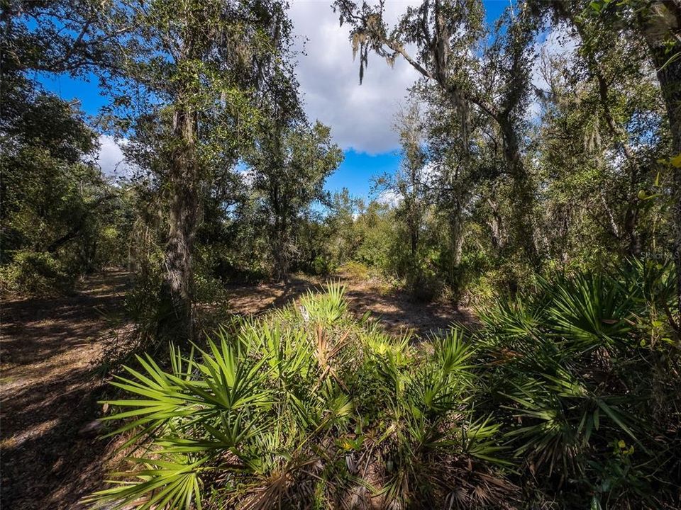 待售: $174,900 (2.46 acres)