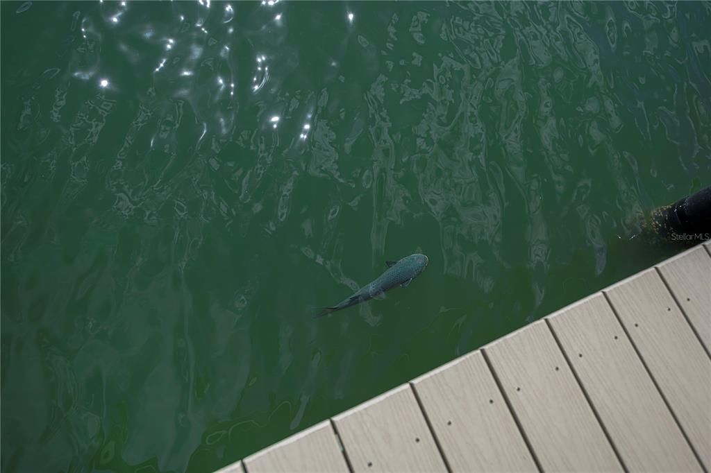 For Sale: $450,000 (2 beds, 2 baths, 966 Square Feet)