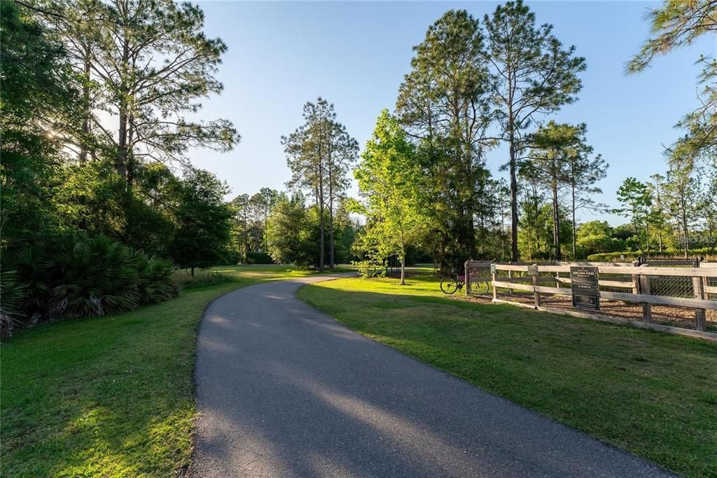 На продажу: $385,000 (3 спален, 2 ванн, 1670 Квадратных фут)