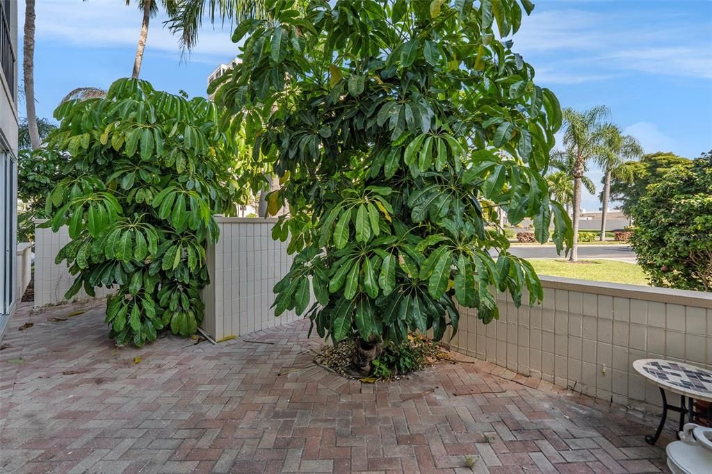 For Sale: $315,000 (2 beds, 2 baths, 1300 Square Feet)