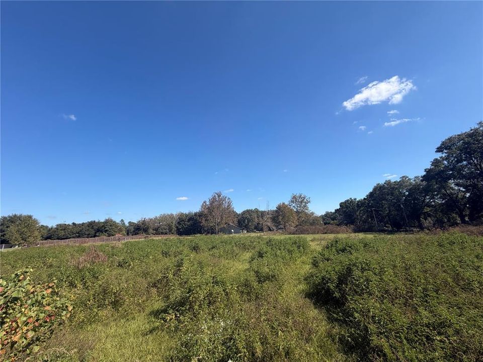 待售: $64,000 (1.34 acres)