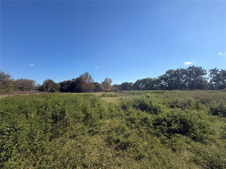 待售: $64,000 (1.34 acres)