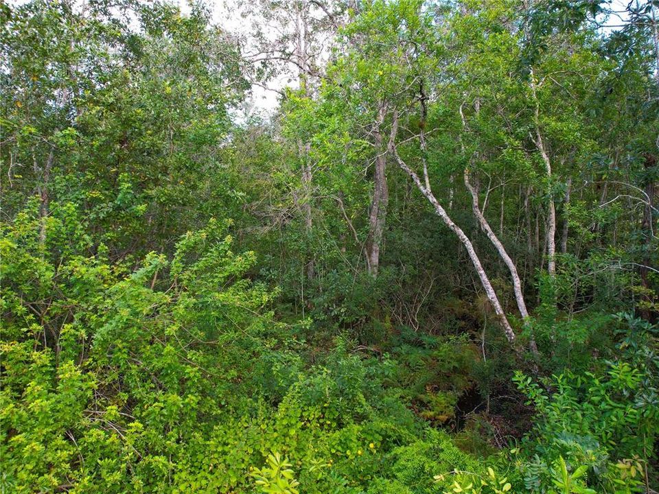 For Sale: $170,000 (2.45 acres)