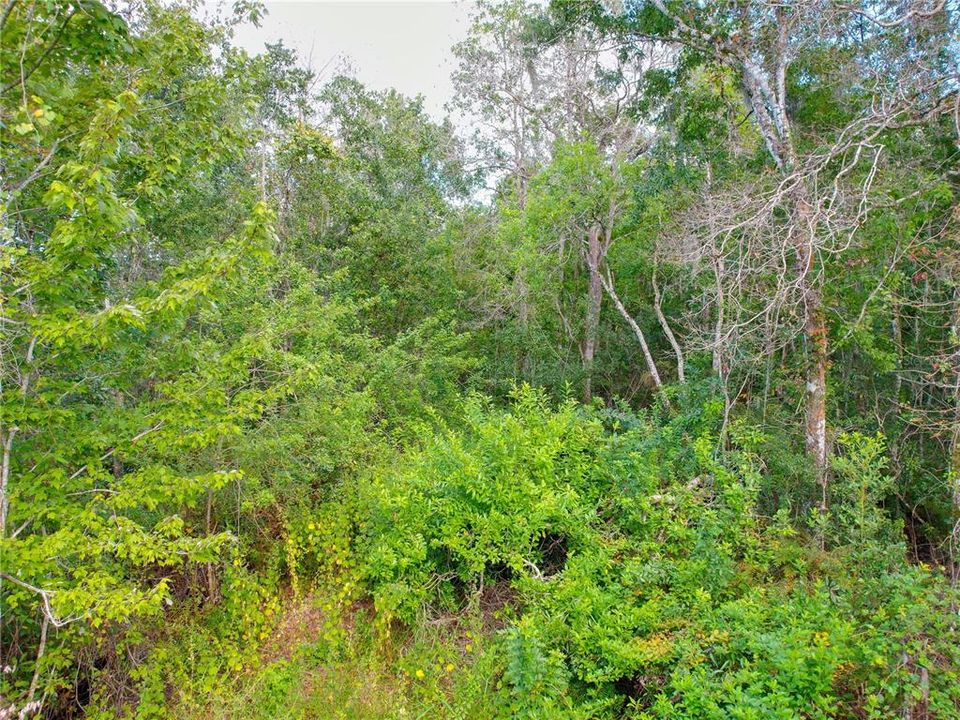 For Sale: $170,000 (2.45 acres)