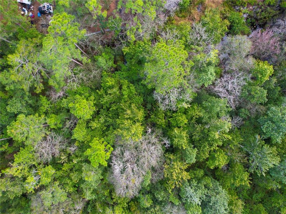 For Sale: $170,000 (2.45 acres)