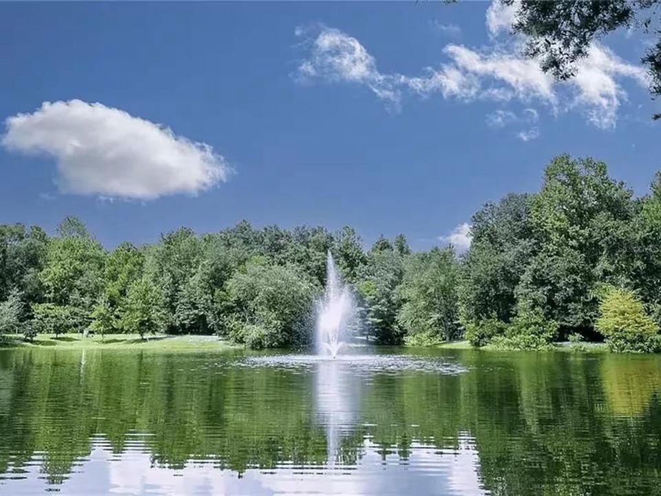 出租: $950 (4 贝兹, 2 浴室, 1866 平方英尺)