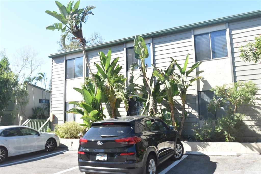 出租: $6,000 (3 贝兹, 2 浴室, 1902 平方英尺)