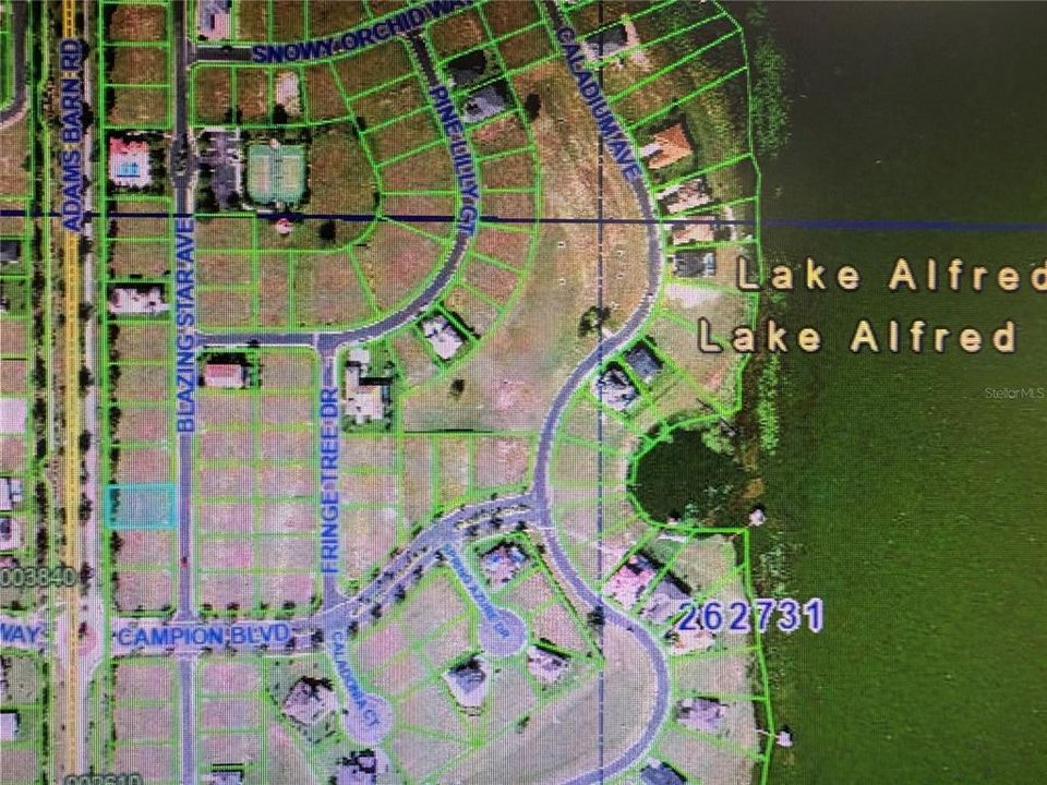 For Sale: $78,000 (0.27 acres)