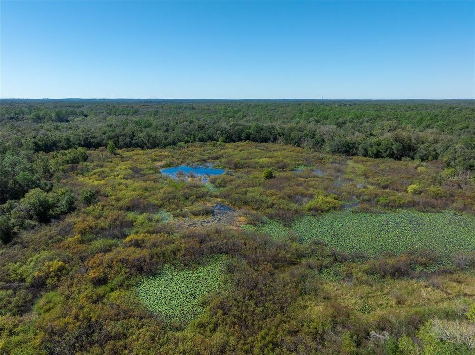 待售: $42,999 (1.10 acres)