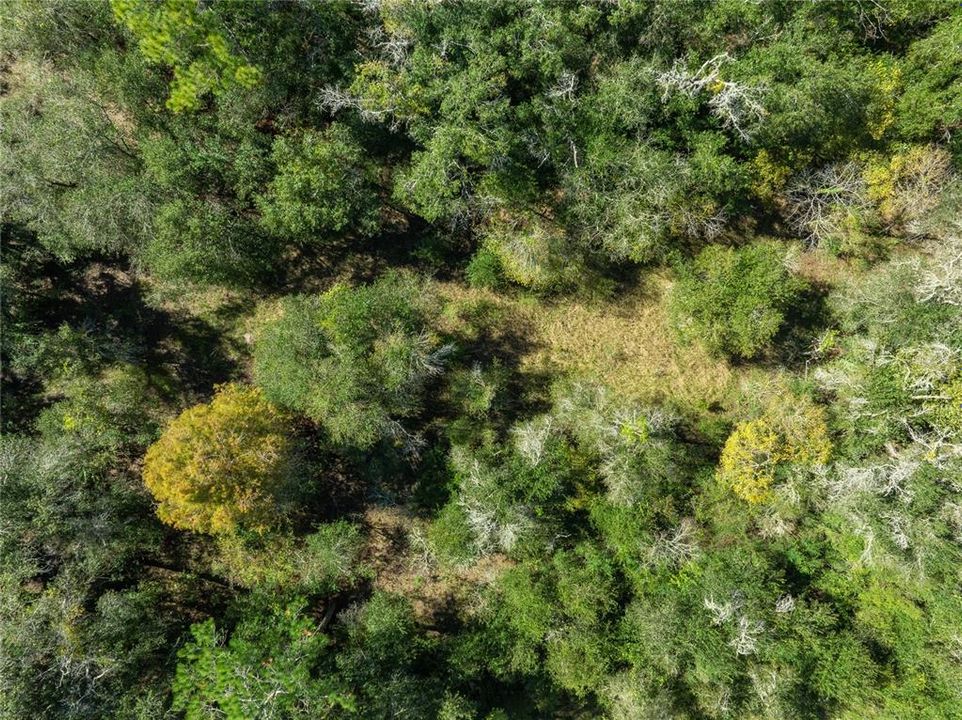 待售: $42,999 (1.10 acres)