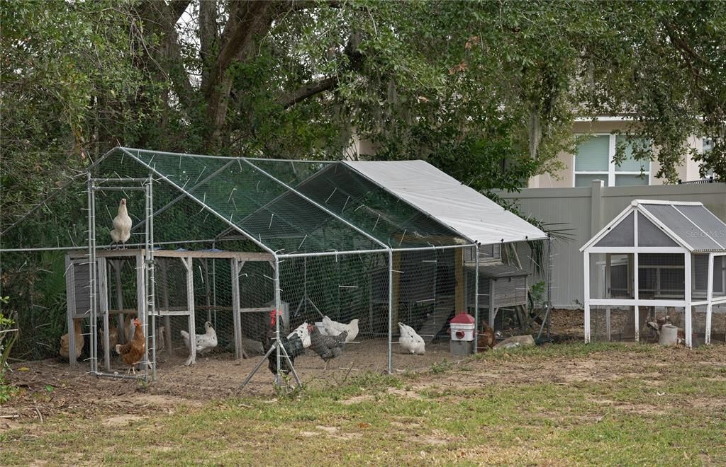 For Sale: $370,000 (3 beds, 2 baths, 1669 Square Feet)