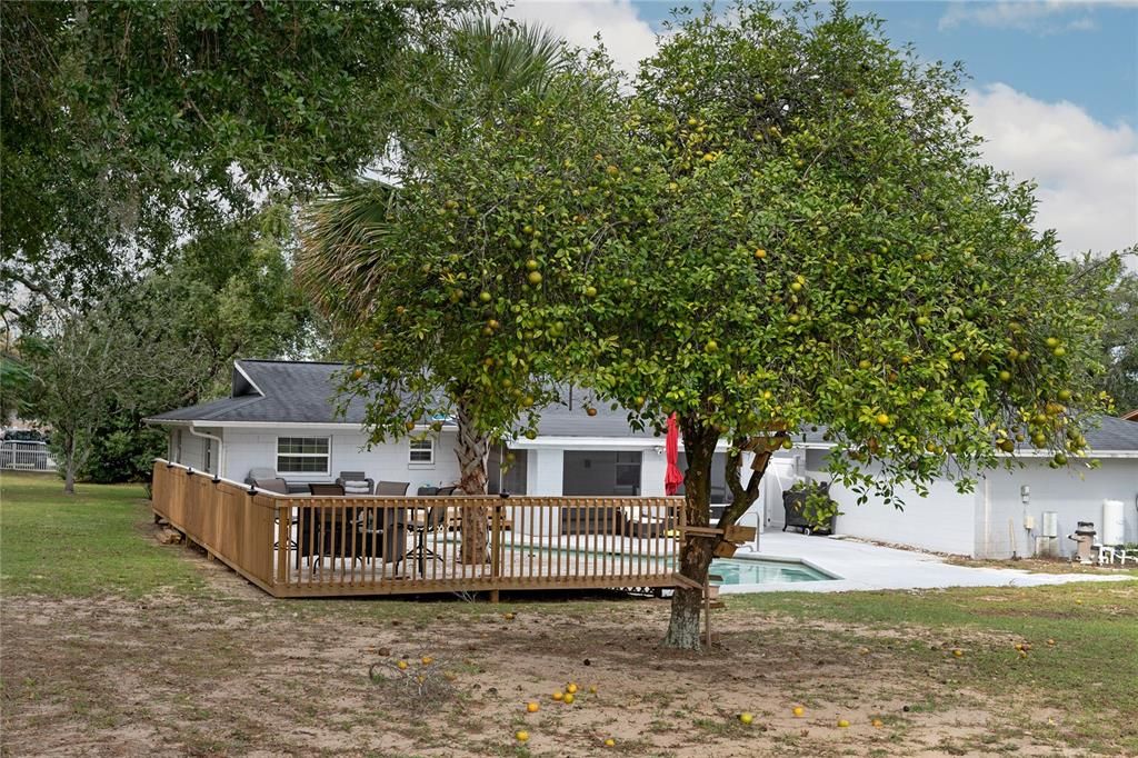 For Sale: $370,000 (3 beds, 2 baths, 1669 Square Feet)