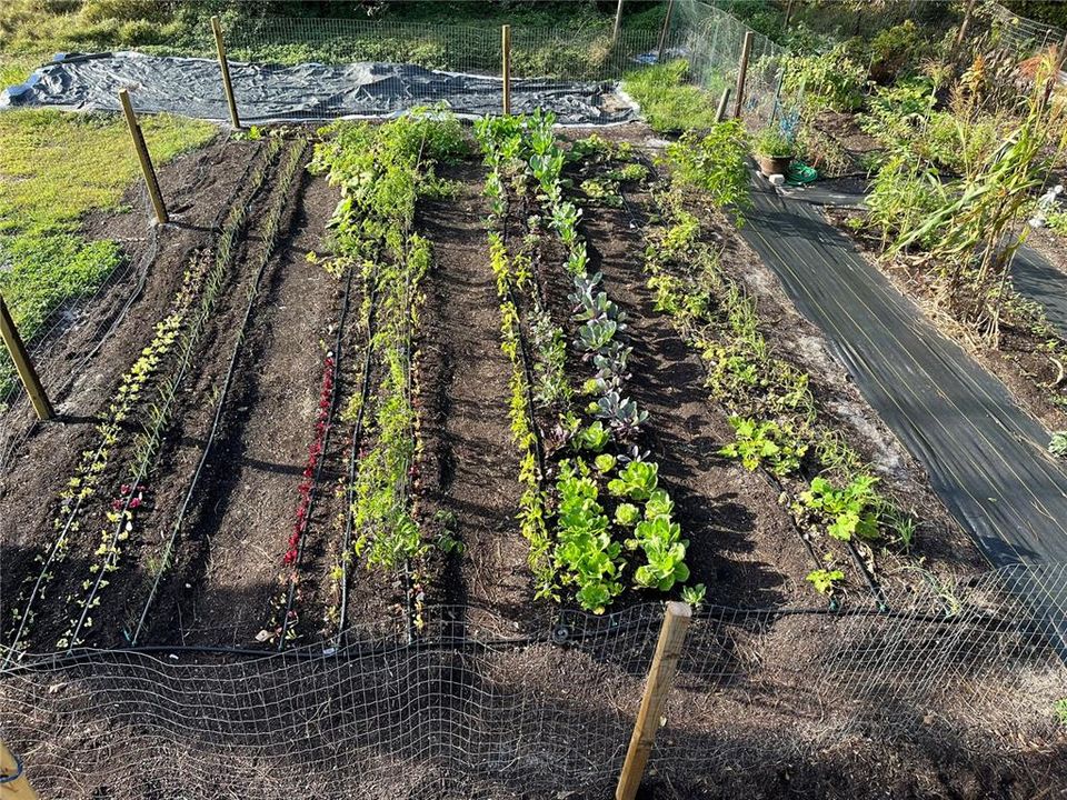 На продажу: $1,195,000 (4 спален, 2 ванн, 2583 Квадратных фут)