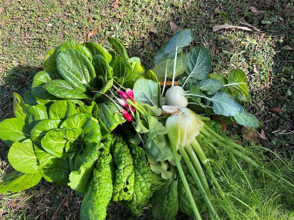 На продажу: $1,195,000 (4 спален, 2 ванн, 2583 Квадратных фут)