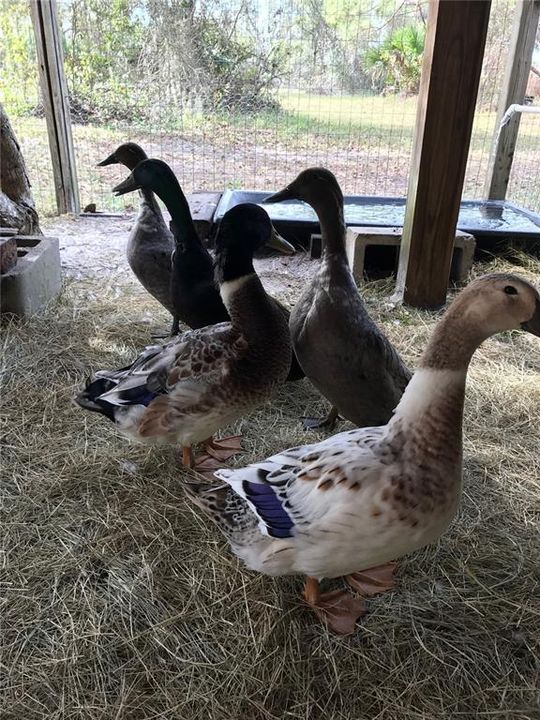 На продажу: $1,195,000 (4 спален, 2 ванн, 2583 Квадратных фут)