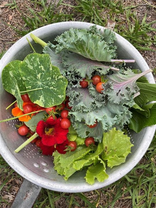 На продажу: $1,195,000 (4 спален, 2 ванн, 2583 Квадратных фут)