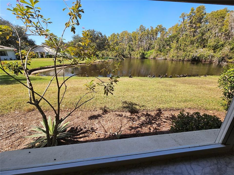 For Rent: $1,875 (2 beds, 2 baths, 1378 Square Feet)