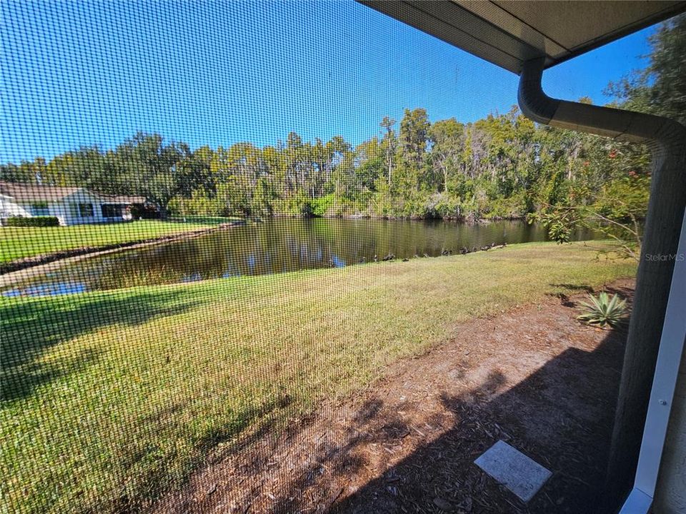 For Rent: $1,875 (2 beds, 2 baths, 1378 Square Feet)