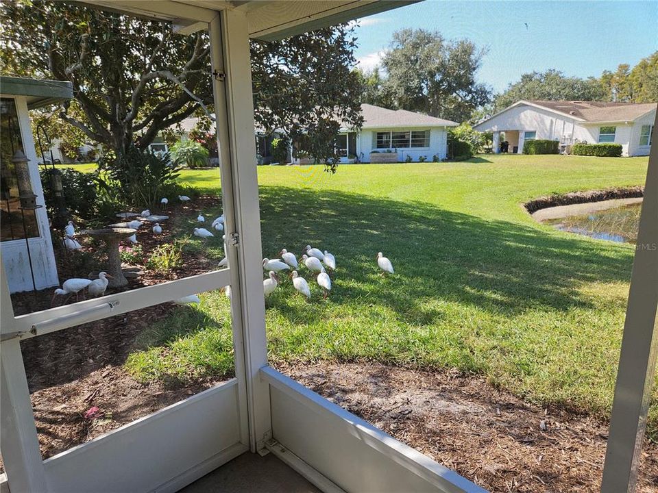 For Rent: $1,875 (2 beds, 2 baths, 1378 Square Feet)