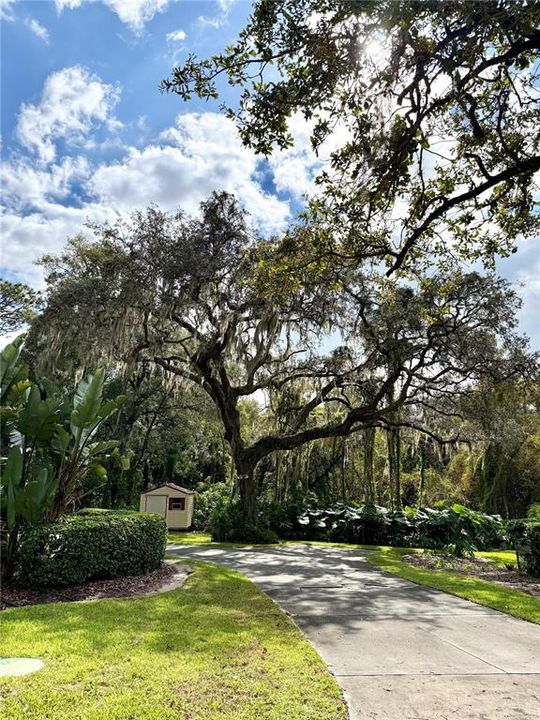 Activo con contrato: $424,990 (3 camas, 2 baños, 2438 Pies cuadrados)