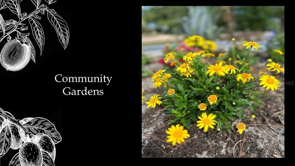 For Sale: $325,000 (1.03 acres)