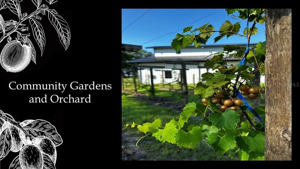 For Sale: $325,000 (1.03 acres)