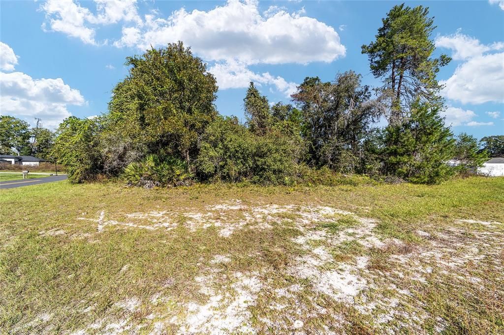 En Venta: $49,900 (0.31 acres)