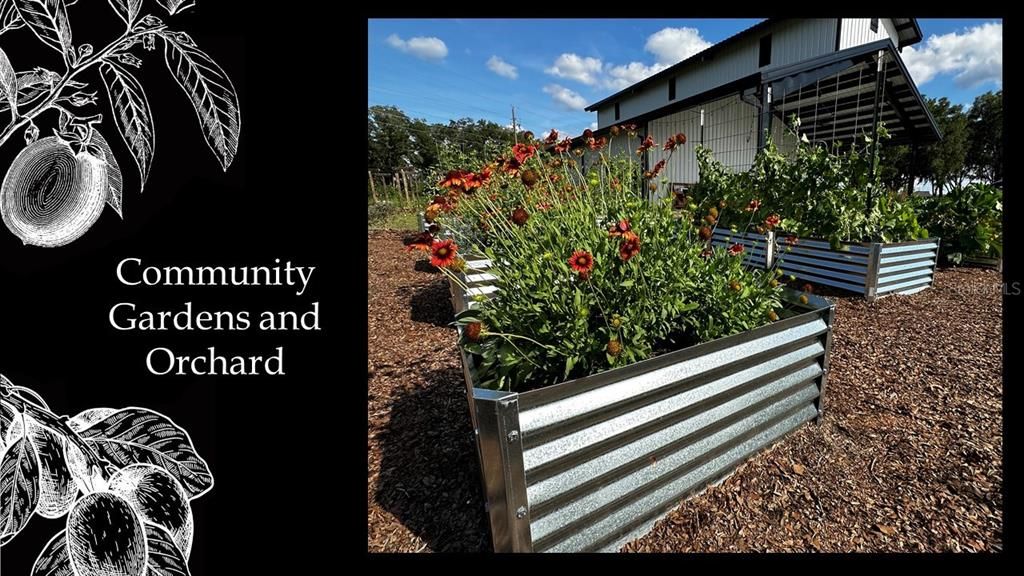 For Sale: $440,000 (1.00 acres)