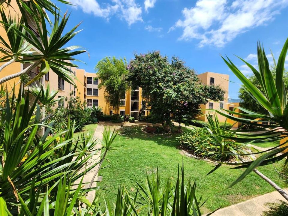 出租: $1,750 (1 贝兹, 1 浴室, 700 平方英尺)