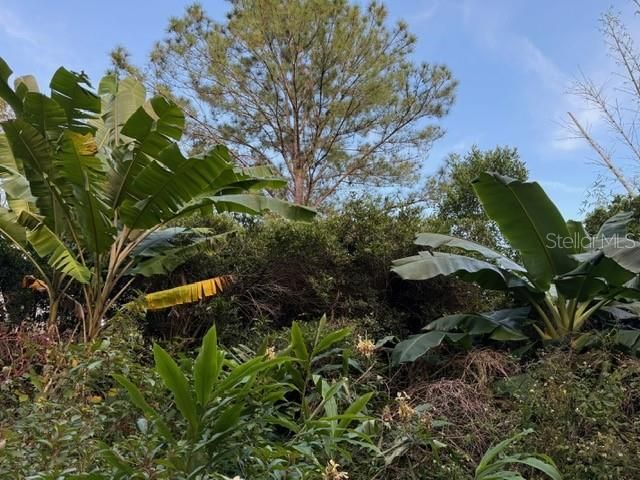 На продажу: $650,000 (5 спален, 3 ванн, 2232 Квадратных фут)