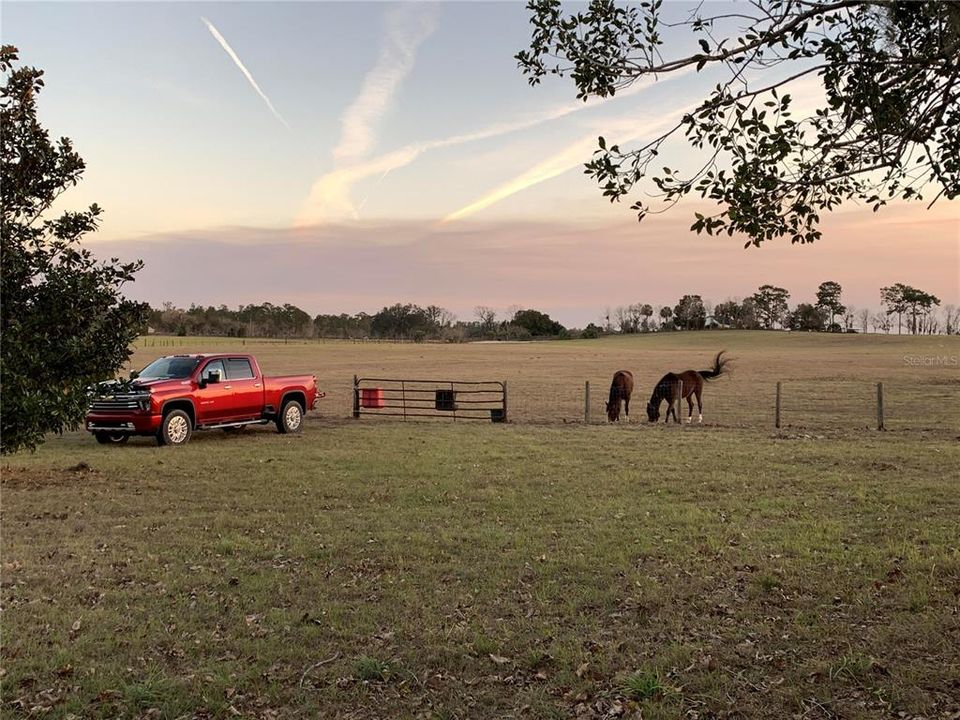 For Sale: $425,000 (4 beds, 2 baths, 1847 Square Feet)