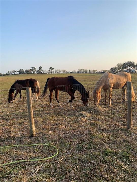 For Sale: $425,000 (4 beds, 2 baths, 1847 Square Feet)