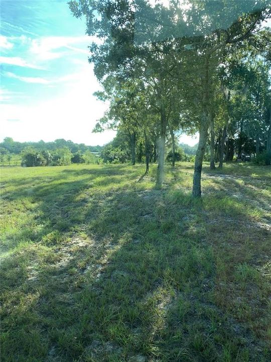 For Sale: $425,000 (4 beds, 2 baths, 1847 Square Feet)