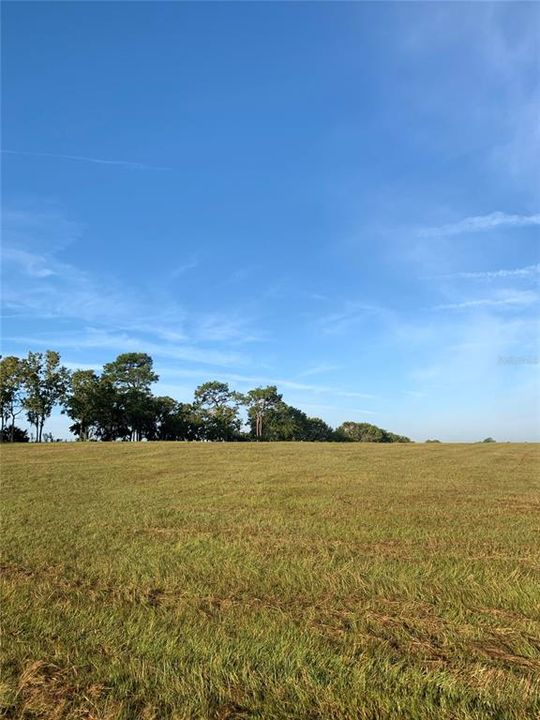 For Sale: $425,000 (4 beds, 2 baths, 1847 Square Feet)