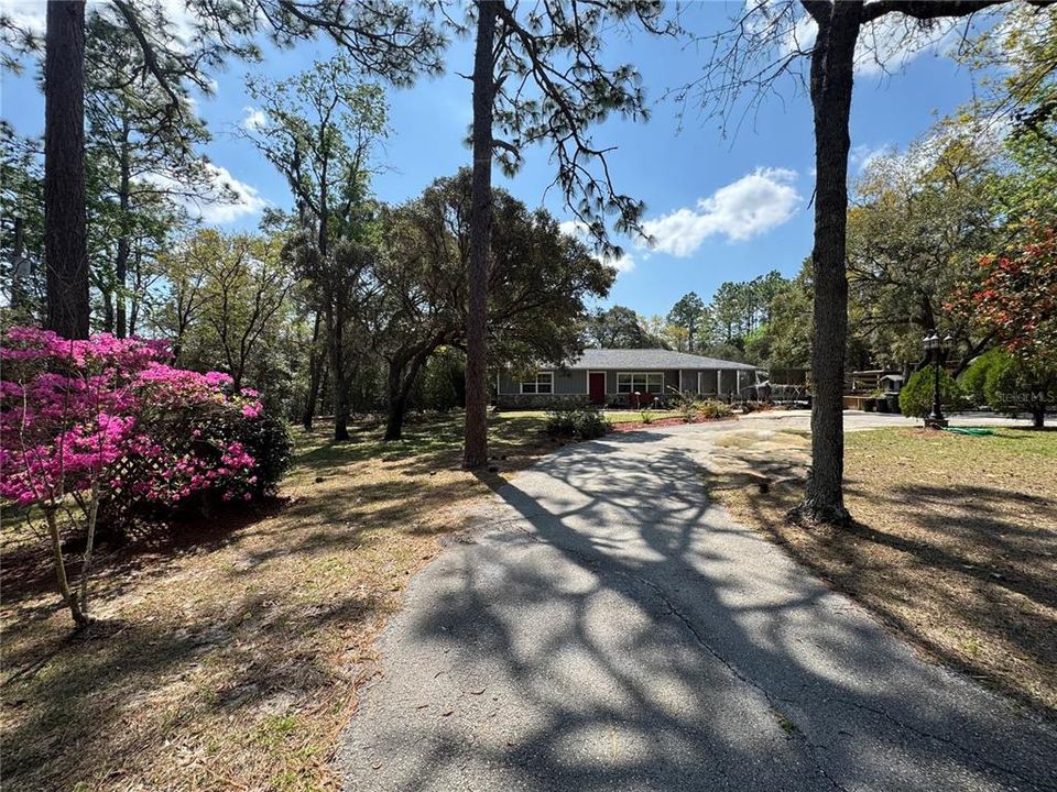 На продажу: $439,900 (3 спален, 2 ванн, 1300 Квадратных фут)