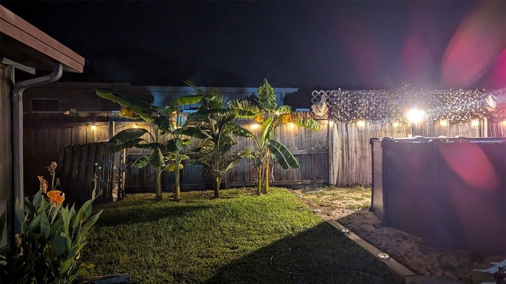 На продажу: $257,500 (2 спален, 2 ванн, 1059 Квадратных фут)