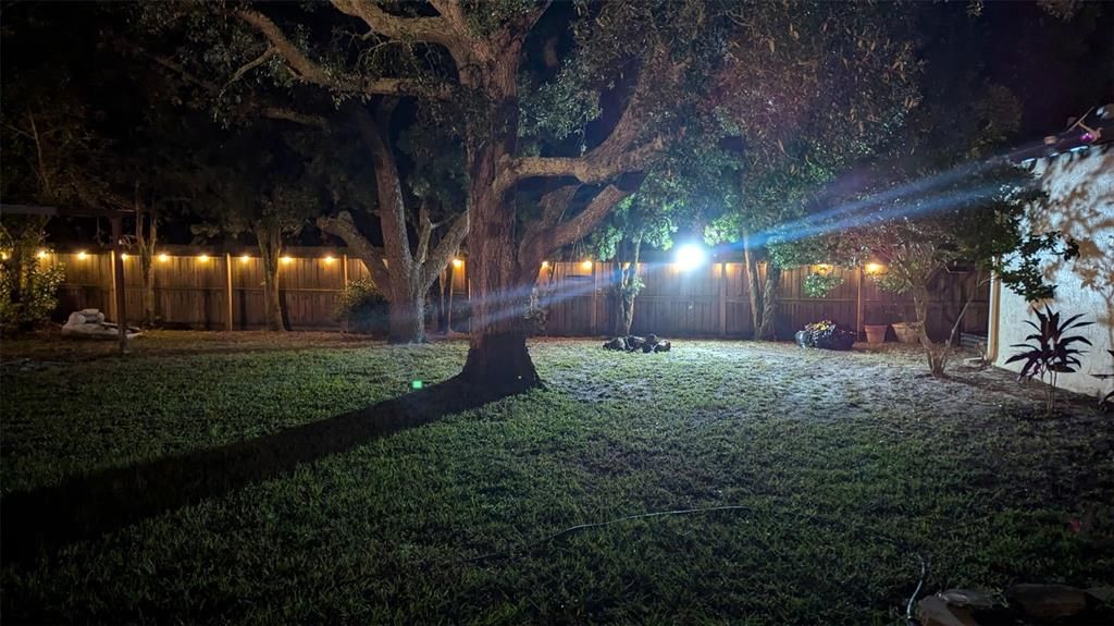 На продажу: $257,500 (2 спален, 2 ванн, 1059 Квадратных фут)