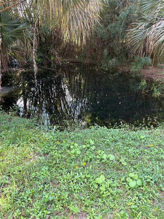 For Rent: $1,600 (2 beds, 1 baths, 864 Square Feet)