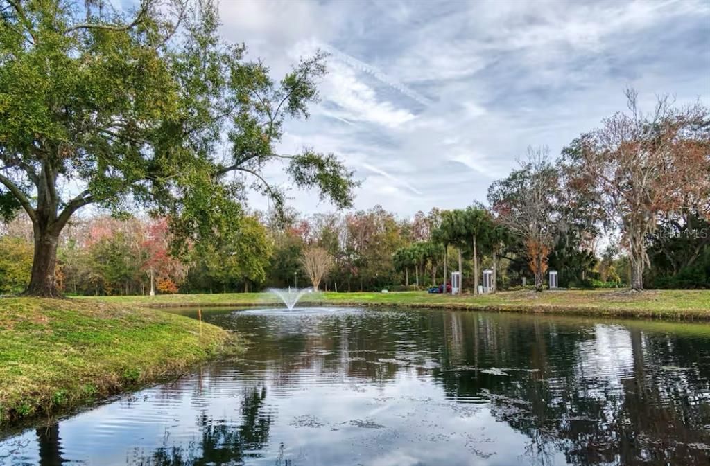 待售: $159,000 (1 贝兹, 1 浴室, 524 平方英尺)