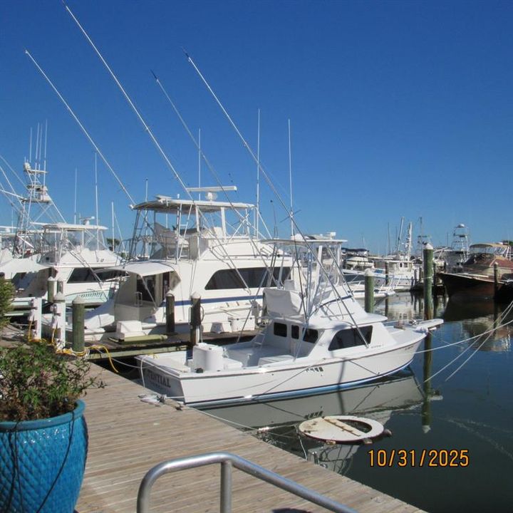 出租: $1,375 (1 贝兹, 1 浴室, 840 平方英尺)