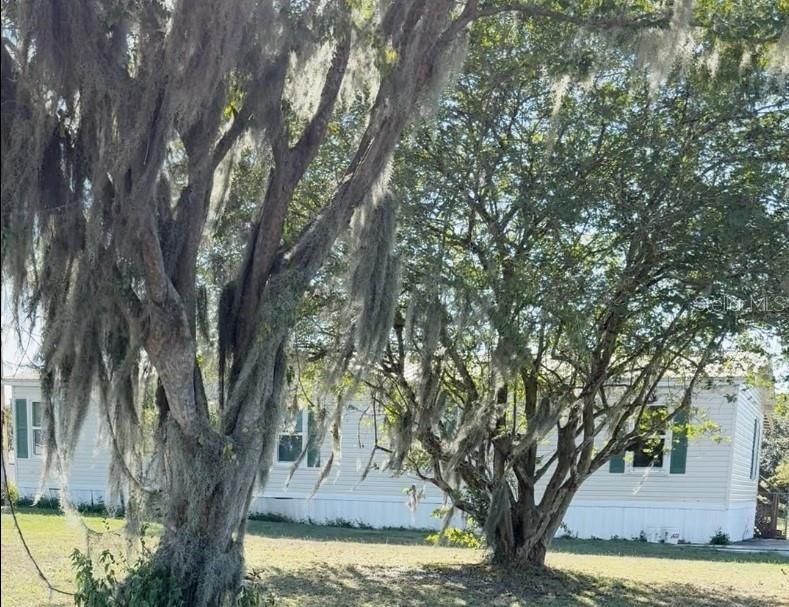 合同活跃: $139,900 (3 贝兹, 2 浴室, 1456 平方英尺)