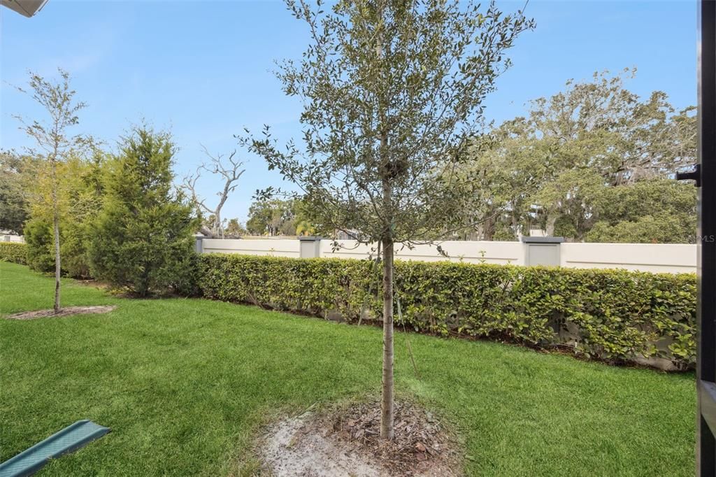 待售: $439,000 (3 贝兹, 2 浴室, 1907 平方英尺)